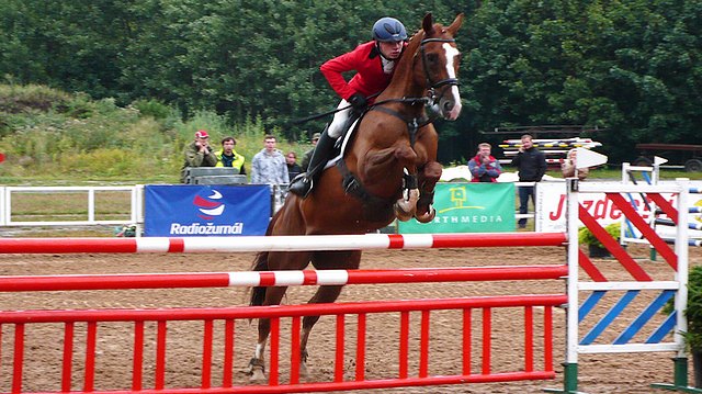 kone-parkur-vsestrannost-310711-pardubice-miloslav-prihoda-a-norides_z-pardubice-racecourse-cz