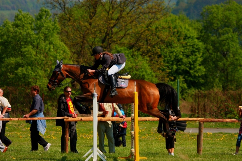 Parkur-Bardejov